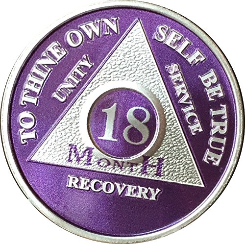 18 Month Purple Silver Plated AA Medallion Chip