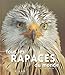 Tous les rapaces du monde (French Edition) by