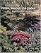Creating Ponds, Brooks, and Pools: Water in the Garden (Schiffer Design Book)