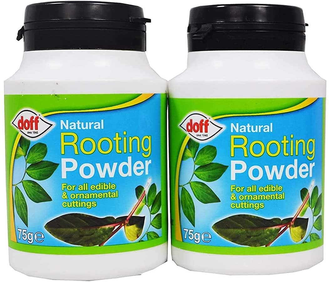 Natural Rooting Powder 75g Growth Promotes Strong and Healthy Roots For Robust Root All Edible Plants and Ornamental Cuttings (2) — image 1