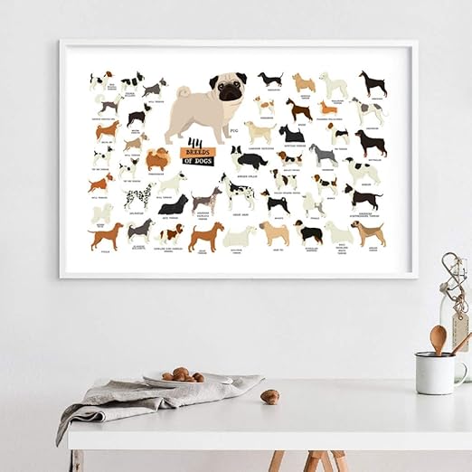 Acykm Coleccion De Razas De Perros Ilustracion Cartel Arte De La