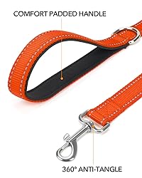 Taglory Dog Leash for Medium Large