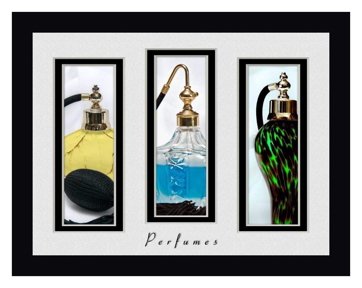 Perfume Triptych III by C. Thomas McNemar - 28" x 36" Black Framed Canvas Art Print - Ready to Hang