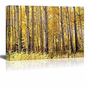 Canvas Prints Wall Art - Bare Trees and Tree Branches in a Forest | Modern Wall Decor/Home Decoration Stretched Gallery Canvas Wrap Giclee Print. Ready to Hang - 12" x 18"