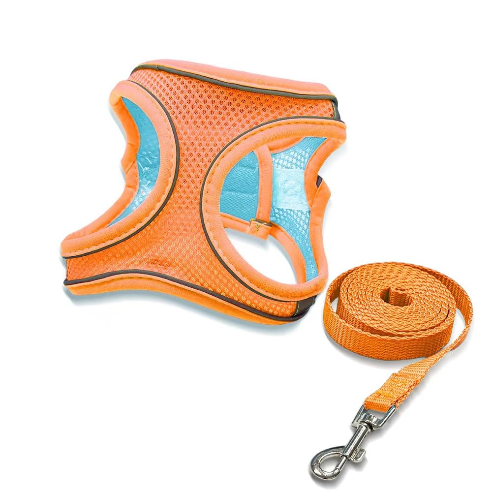 Photo 1 of 2-in-1 No Pull Dog Harness & Retractable Leash, Adjustable Dog Harness, No Pull Step-in Soft Mesh Puppy Vest Harnesses, Adjustable Puppy Vest for Small Medium Dogs and Cats
