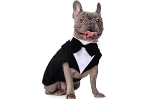 DORA BRIDAL Dog Tuxedo for Medium Dogs, Dog Suit and Bowtie, Formal Dogs Wedding Outfit, Pet Tuxedo and Bandana Set Valentines Birthday Costumes for French Bulldog, Pomeranian, Dachshund, Black, M