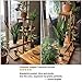 SONGMICS Bamboo Wood Plant Stand Shelf Flower Pots Holder Display Rack Utility Shelving Unit Storage Rack for Living Room Balcony Hallway Bathroom Natural BCB91N