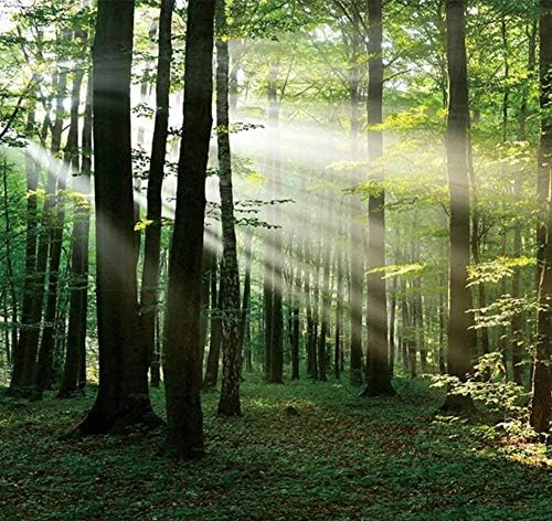 カスタム3d写真壁紙森日光緑の森壁画寝室リビングルームソファテレビ背景