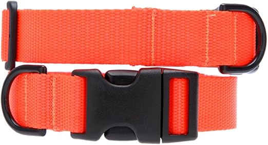 1 inch wide dog collar