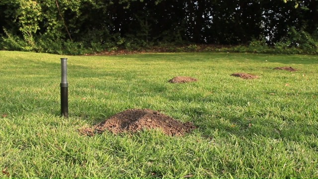 4 GopherHawk+Trapping+Wedge+Probe+GH+SET