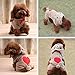 Dog Outfits, FuzzyGreen Cut Dog Apparel Hoodie Clothes for Small Dogs Boy Girl Male Female+Gift