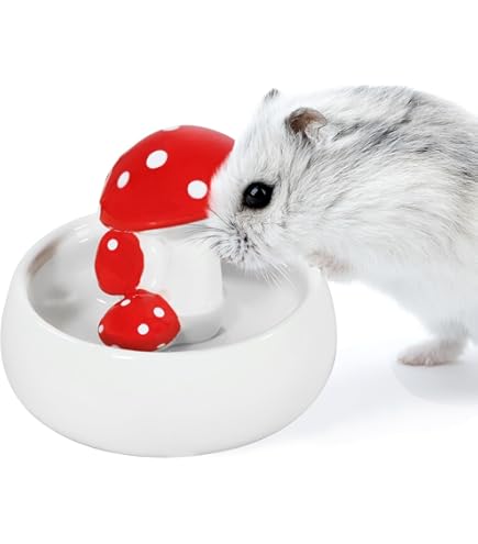 thumbnail image 2 of Small Animals Bowl, Detachable Cage Feeder Pet Ceramic Water & Food Feeder , Small Animal Supplies For Rabbit Parrot Squirrels Chinchilla Hamster Ferret (White, M 2 of 10
