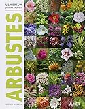 Arbustes by 