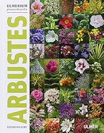 Arbustes