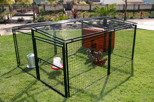 Rugged Ranch Products Metal Chicken Coop 7-Feet by 8-Feet 
