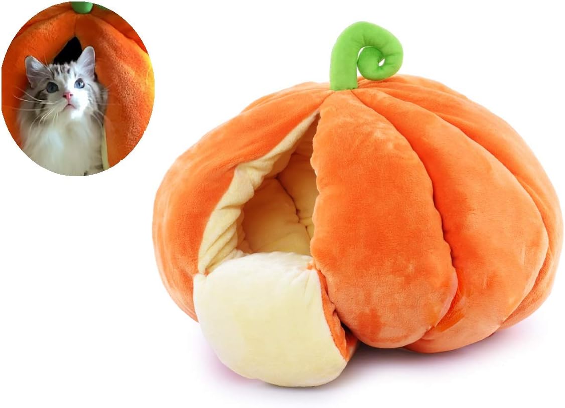pumpkin cat bed