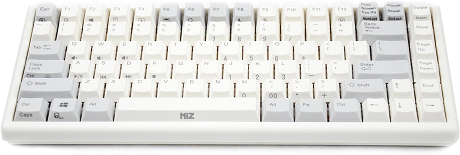 NIZ Electrostatic Capacitive Keyboard (RGB backlight All Keys Programmbierbar Macros PBT Keycaps) white 84 Tasten Klassische