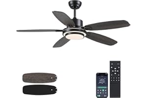 HOUNBERI Ceiling Fan with Light and Remote/APP Control,50" Black Ceiling Fan with DC Reversible Motor, Quiet 6 Speeds Modern Flush Mount Ceiling fan Light for Bedroom,Dinnig Room,Indoor/Outdoor