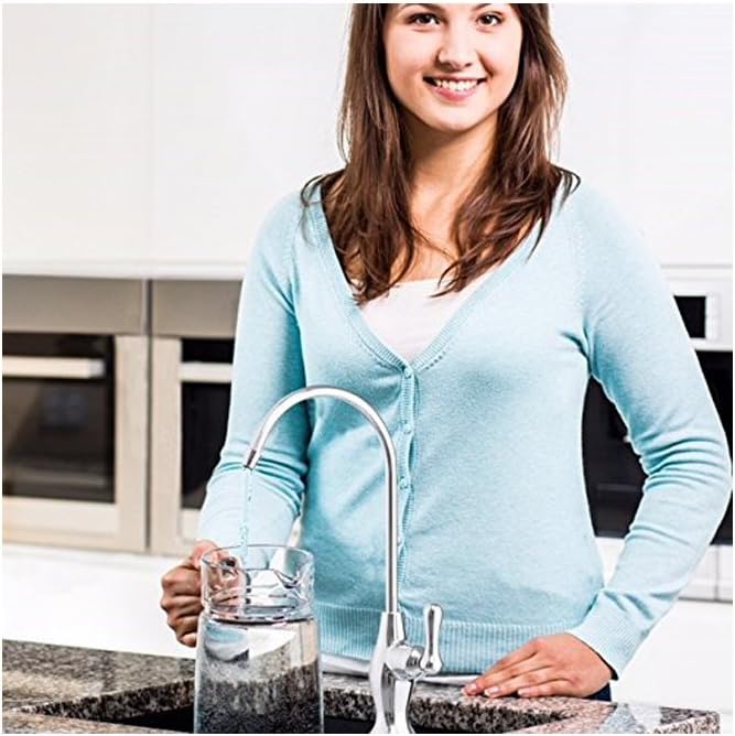 Puroflo Kitchen/Bar Sink Drinking Water Faucet, Chrome Finish, Lead-Free, Non-Air Gap, NSF Certified, With Faucet Connection 1/4'' Push-In Fitting, FLR-575CP, 1 Pack - - 