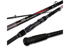Fiblink Surf Fishing Rod 2 Piece/3 Piece/4 Piece Portable Travel Casting Rod Saltwater Surf Rod (9'/10'/12')