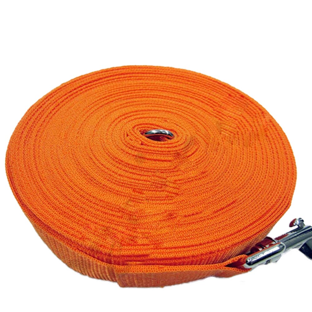 Dog Pet Puppy Training Lead Leash 50ft 15m Long Obedience Recall 1” Wide Easipet (Orange)