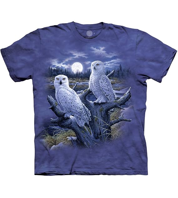 The Mountain Snowy Owls - 