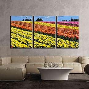 3 Piece Canvas Wall Art - Colorful Tulip Farm - Modern Home Art Stretched and Framed Ready to Hang - 16"x24"x3 Panels