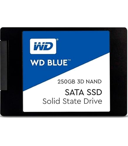 Amazon.com: Western Digital 500GB WD Blue 3D NAND Internal PC SSD