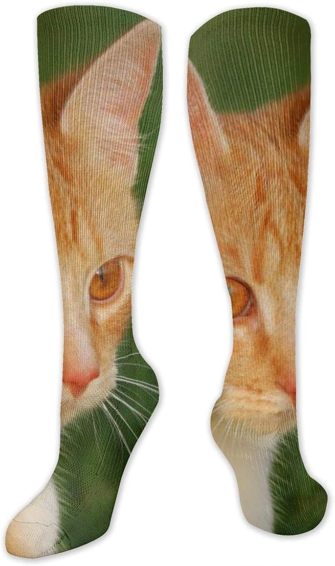 Kompressionssocken Nette Gelbe Katze Fitnessstudio Reise Cosplay Oberschenkel Strumpfe Beliebte Radsport Kompressionssocken Unisex 50cm Wandern Lange Rohrensocken Sport Yoga Laufen Amazon De Bekleidung