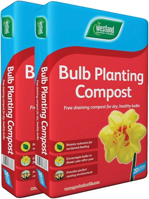 Best Compost For Planting Tulip Bulbs at Clara Hunt blog