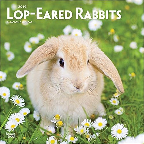 Lop Eared Rabbits 2019 12 x 12 Inch Monthly Square Wall Calendar, Domestic Small Pets Animals (Multilingual Edition) Lop Eared Rabbits 2019 12 x 12 Inch Monthly Square Wall Calendar, Domestic Small Pets Animals (Multilingual Edition)