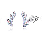 Limerencia F136 Pure Titanium Hypoallergenic Implant Grade Studs, G23 Small Dainty Cubic Zirconia Earrings for Women's Sensitive Ears