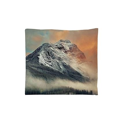 Amazon Com Indoor Outdoor Square Seat Cushion Comfort