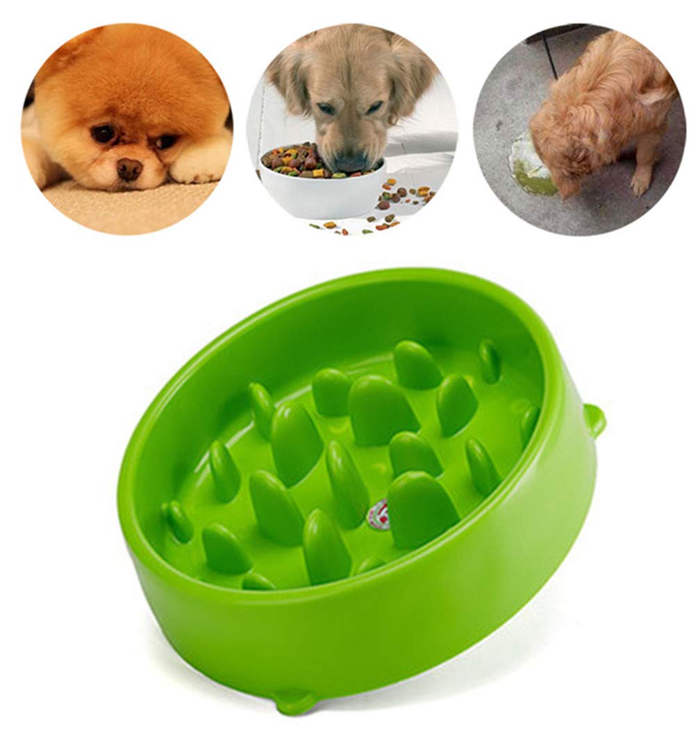 Slow Feeder Dog Bowl Slow Eating Bowl For Dog And Cat Non Slip
