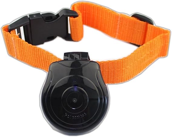 Toogoo R Camera Numerique Mini Camera Dvr Enregistreur De Video Moniteur Pour Le Chien Et Le Chat Noir Amazon Fr Bricolage