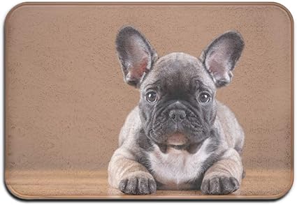 Miniature French Bulldog Puppy Outdoor Rubber Mat Front Door Mats Porch Garage Large Flow Slip Entry Carpet Rug 40x60 Cm Amazon Co Uk Kitchen Home Miniature French Bulldog Puppy Outdoor Rubber Mat Front Door Mats Porch Garage Large Flow Slip Entry Carpet Rug 40x60 Cm Amazon Co Uk Kitchen Home