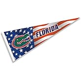 Florida Gators Nation USA Stars and Stripes Pennant Pennant Banner Flag