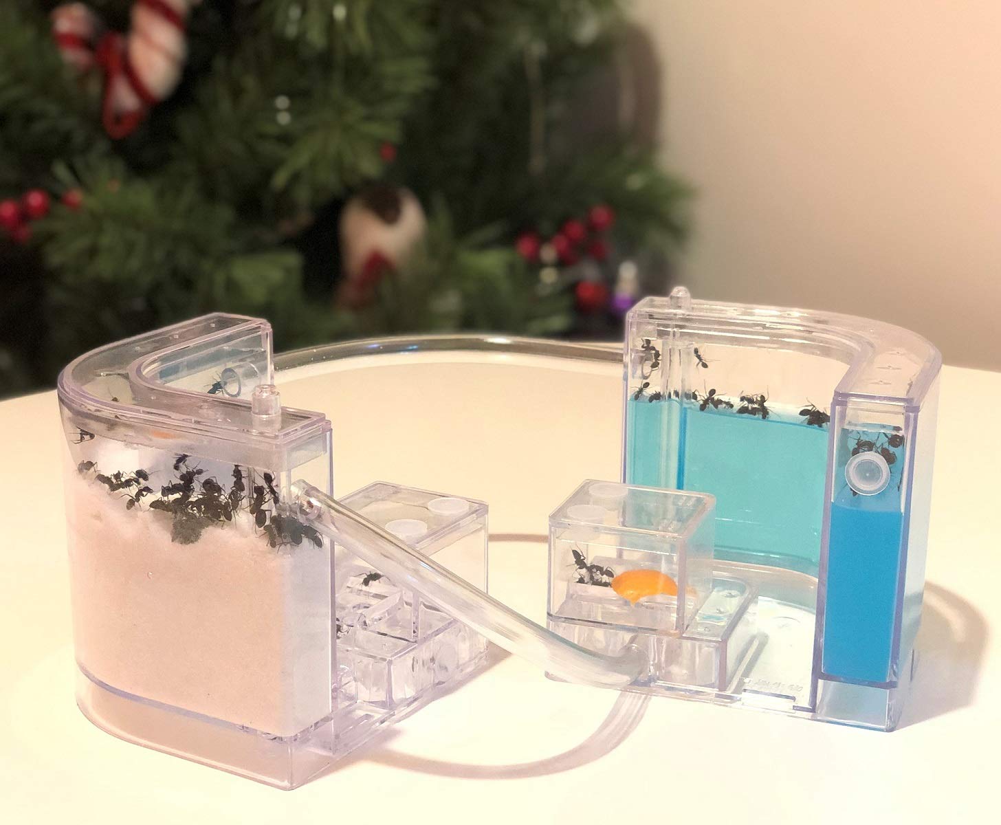 NAVAdeal Sand Ant Farm with Connecting Tubes, Habitat Educational & Learning Science Kit Toy for Kids & Adults - Allows Study of Ecosystem, Behavior of Ants, Explore The World at Home and School