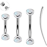 Ruifan 16g Rook Piercing Jewelry Titanium Internally Threaded Jeweled CZ Curved Barbell Eyebrow Tragus Helix Conch Lobe Labret Earrings Lip Rings Piercing Jewelry For Women Men 6mm 8mm 10mm
