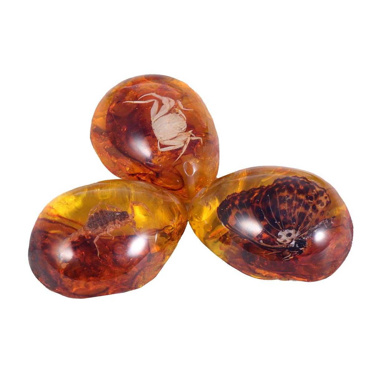 Natural Specimen Scorpion Crab Butterfly Amber Untreated with Inside for Education 3 Pcs