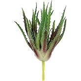 Coshar 1 Piece Fake Succulent Plant Artificial Succulent Aloe Plant Realistic Texture Plastic Faux Plant for Indoor and Outdoor Decor - Green and Red