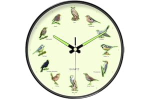 Novelty Bird Wall Clock, in The Dark Wall Clock Wall Clock Birdsong Clock Silent Non-Ticking Clock for Office School Home Dec