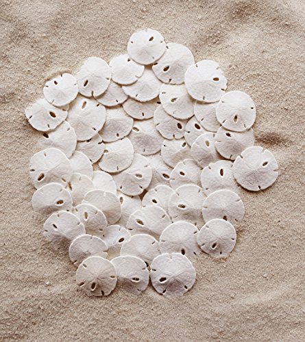 1 Tumbler+Home+Certified+Natural+Dollars