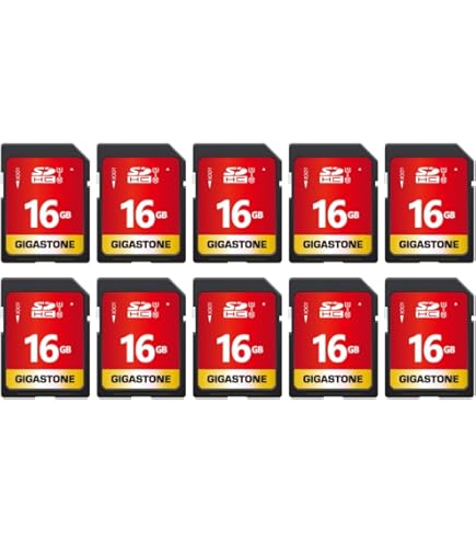 Amazon.com: Lot of 10 SanDisk 16GB SD SDHC Class 4 Flash Memory