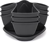 Prosperplast Coubi DKN300W Herb Planter 29.5cm Dark Grey 12-Piece Set view 4