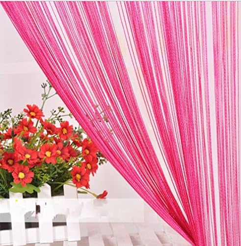 AMSS Tassel String Door Window Room Divider Partition Curtain Valance 2 Panels 100cm x200cm 8 Colors Available