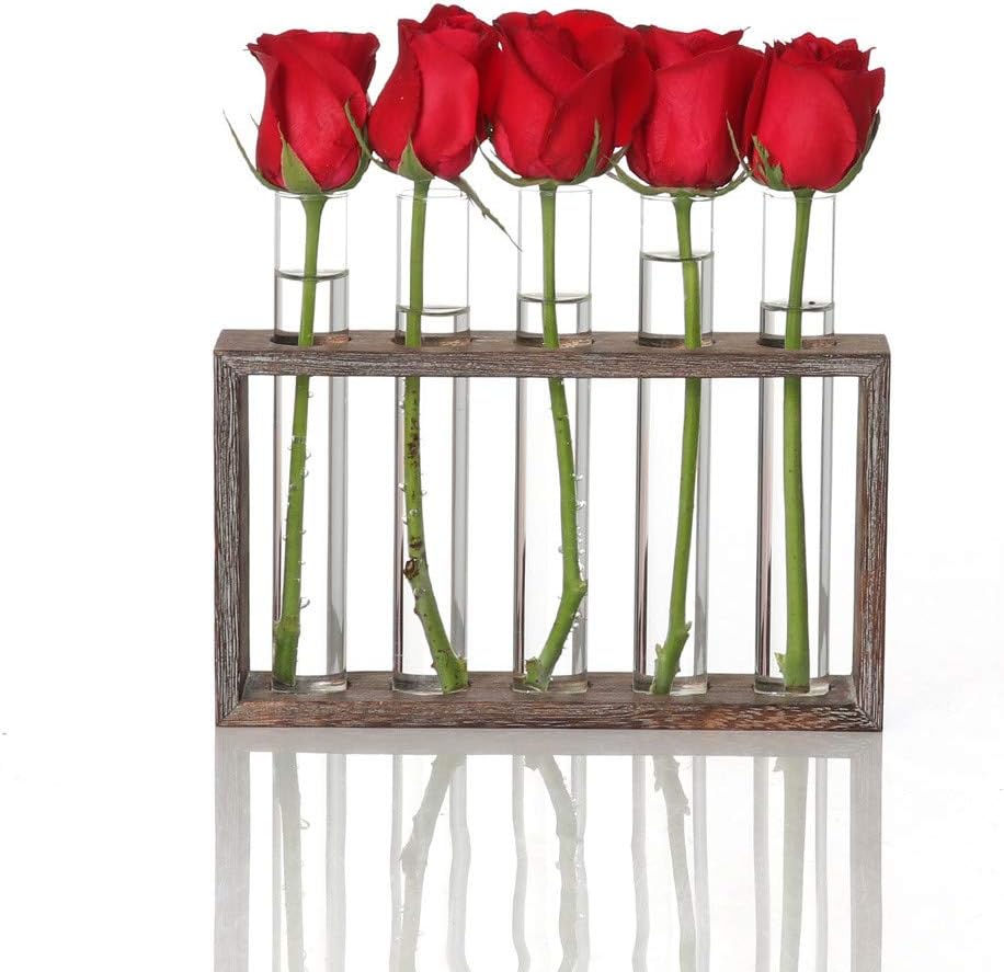 Test Tube Rack Planter, Transparent Hydroponic Flower Clear Vase with Wood Stand Frame Perfect for Coffee Shop Home Office Wall Decoration