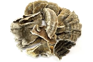 LIVING FARMS Turkey Tail Mushroom 100 GRAMS Whole Dried Organic Polyporus Vesicolor Yun Zhi