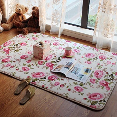 Household Space American Country Style Rugs for Bedroom Modern Rugs for Living Room 55''79''