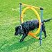 PAWISE Dog Agility Training Hoop, Outdoor Dog Agility Hurdle Toy Set